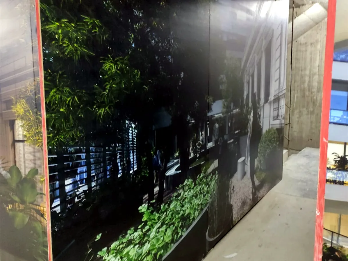 Vinilo mural instalado en un espacio interior